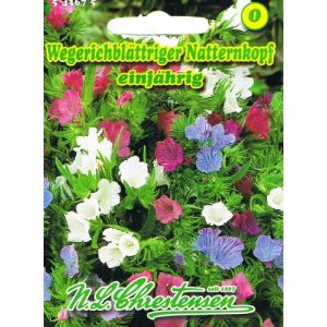 Naternkopf-Samen Chrestensen Wegerichblättriger Natternkopf