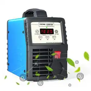 Ozongeneratoren fellat ozongenerator 10000 mg h industriell