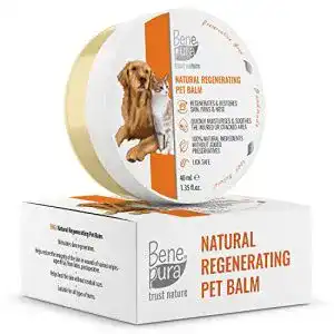 Pfotenbalsam bene pura trust nature benepura hund 40 ml