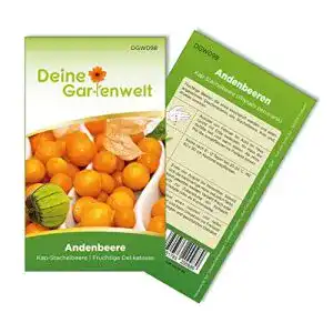 Physalis samen deine gartenwelt physalis andenbeere