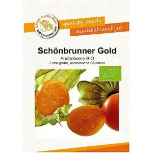 Physalis-Samen