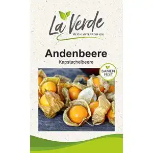 Physalis samen la verde mein garten und ich andenbeere