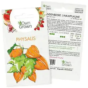 Physalis samen owngrown physalis samen andenbeere samen