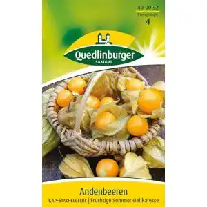 Physalis samen quedlinburger saatgut kapstachelbeere