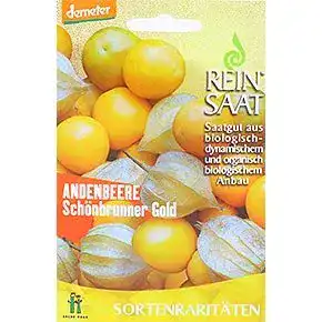 Physalis samen seedeo gemuese raritaeten seedeo peruanische
