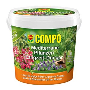 Fertilizante para gramado de longo prazo Compo Mediterranean Plants