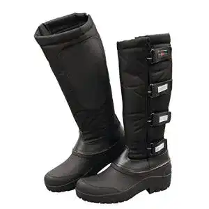 Reitstiefel covalliero covaliero 326145 thermostiefel schwarz