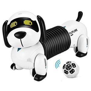 Cane robot ALLCELE cane robot giocattolo per bambini
