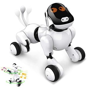 Roboterhund Anysun Roboter Hundespielzeug, Interaktiv