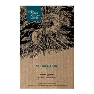 Schafgarbe samen magic garden seeds schafgarbe