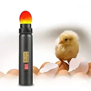 Schierlampe zjchao eier kontrollgeraet langlebig