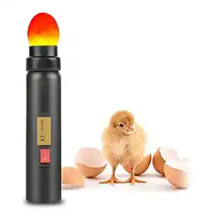 Schierlampe ZJchao LED für Brutkästen und Eizucht-Tester