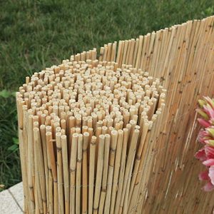 Enjoy quality reed mat, length 600 cm x height 100 cm