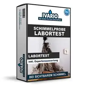 Schimmeltest ivario schimmel test fuer oberflaechen wohnung