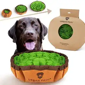 Schnueffelteppich urban paul fuer hunde beste materialien
