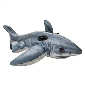 Schwimmtiere