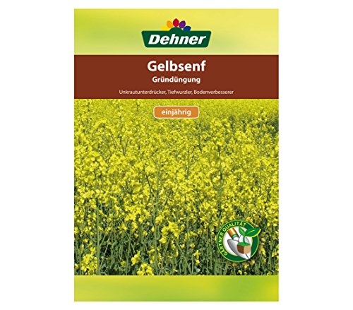 Senf-Samen Dehner Saatgut, Gründüngung, Gelbsenf, 500 g