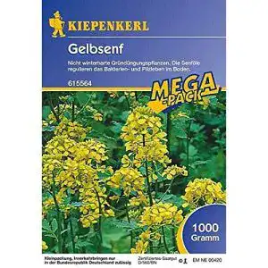 Senf samen kiepenkerl gruenduenger gelbsenf 1 kg