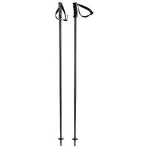 Ski poles HEAD Unisex Adult Multi, black, 120