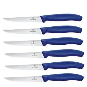 Steakmesser victorinox swiss classic profi set 6 teilig