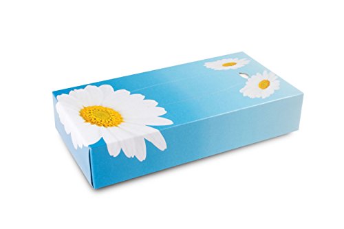 Taschentücher-Box FUNNY Kosmetikboxen 2 lagig 100 Tücher/Box