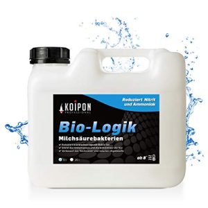 Aspirateur à boues de bassin KOIPON Bio-Logik, bactéries lactiques 5 l