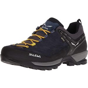 Sapatos de trekking masculinos Salewa MTN Trainer GTX calçados masculinos