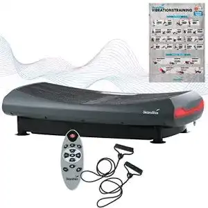 Vibrationsplatte skandika n v2000 3d vibration grau