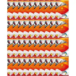 Waermepflaster vl92 40er set waermekissen waermepad