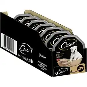 Welpenfutter cesar hundefutter nassfutter junior fuer welpen