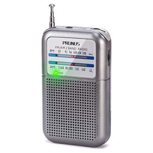 Dünya alıcısı prunus DE333 mini radyo pille çalışır