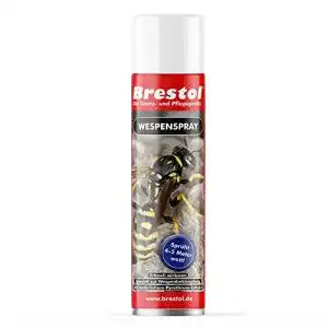 Wespenspray Brestol 400 ml für effektive Wespenbekämpfung