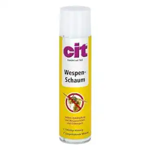 Wespenschaum cit wespen schaum zur sicheren bekaempfung