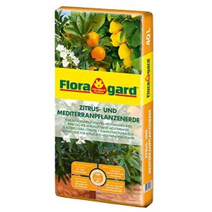 Terreau d'agrumes Terreau d'agrumes et plantes méditerranéennes Floragard 40 litres