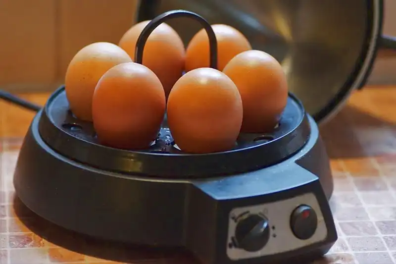 卵の調理器