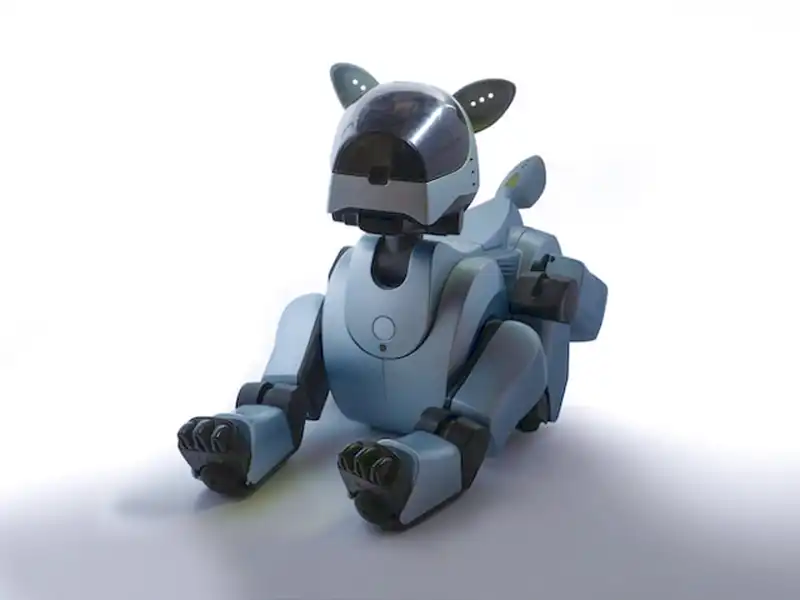 robot hund