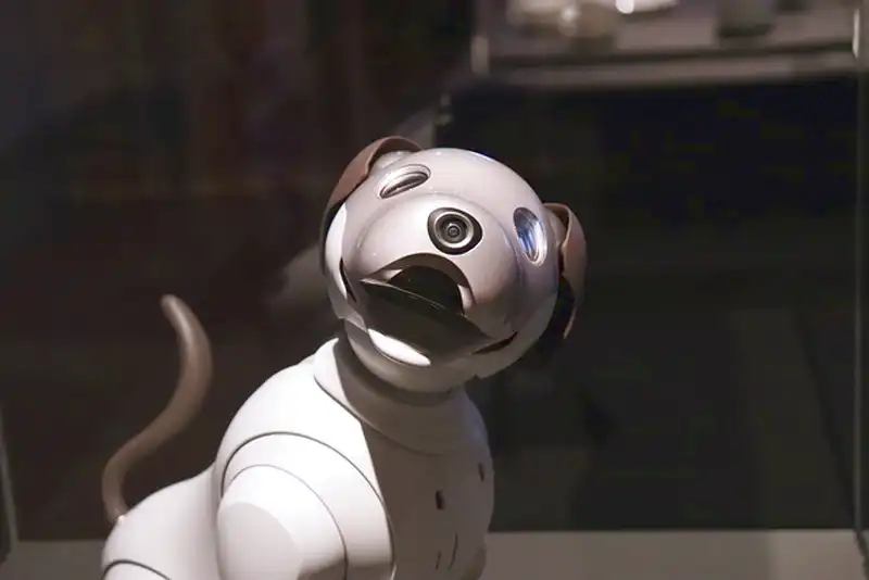 il cane robot