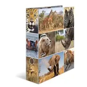 Aktenordner herma 7168 ordner a4 tiere afrika 10 stueck