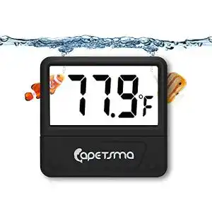 Aquarium thermometer capetsma digital fuer aquarien praezise