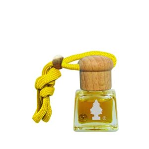 Car air freshener WUNDER-BAUM fragrance bottle I Long-lasting scent