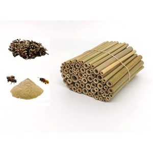 Tubes de bambou action tube de bambou vert hôtel d'abeille sauvage