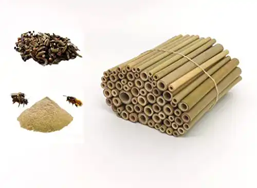 Bambusrohre für Wildbienenhotel – 70 Stück 12 cm