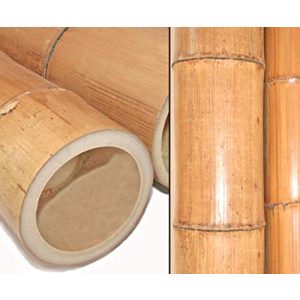 Tubos de bambu bambus-discount.com 1 pedaço de tubo de bambu 200cm