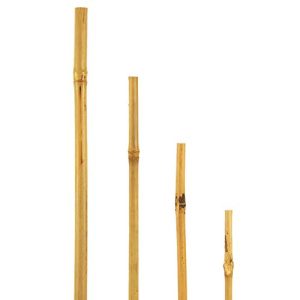 Tubes de bambou bellissa, bâtons de bambou, poteaux de bambou divers ensembles