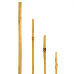 Bambusrohre bellissa bambusstaebe bambusstangen diverse sets