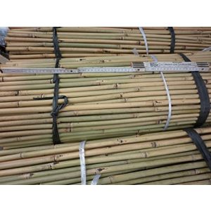 Tubos de bambu Plant Fox 25 pedaços de varas de bambu com 152 cm de comprimento