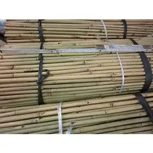 Bambusrohre pflanzenfuchs 25 stueck bambusstaebe 152 cm lang