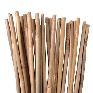 Tubi di bambù Bastoncini di bambù UNUS, bastoncini per piante per la stabilizzazione
