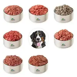 BARF-Hundefutter