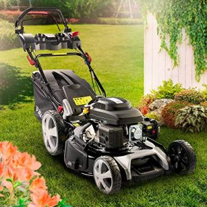 Petrol lawn mower BRAST ® petrol lawn mower with drive